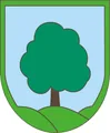 Grb Občine Ravne na Koroškem