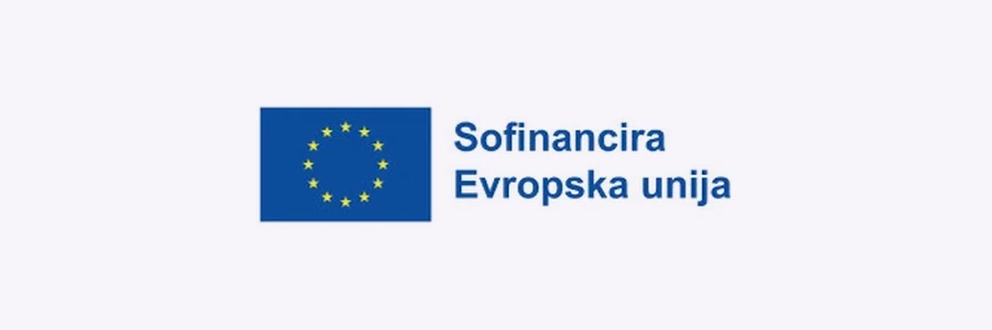 Financer projekta: Evropska unija (logotip).
